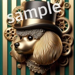 金ピカに憧れたオシャレトイプードル