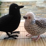 《nao791219様　オーダー品専用ページ》すらっとコザクラインコ