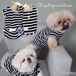 トップス シンプル ハート 極小犬 パピー 超小型犬 小型犬 犬 猫 ペット 服 犬服 猫服 犬の服 猫の服 洋服 ドッグウェア 可愛い シンプル ドット ナチュラル J19 J26 J31 J32