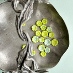 【8コセット】JIRI＊IVANA#czech beads#チェコビーズ　flower 9㍉11㍉　pistàcchio green light blue irregular mable