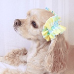 中型犬用　シュシュ　みなも