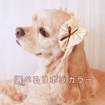 中型犬用　シュシュ　バナナパフェ