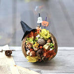 ☆ブッダナッツのハロウィンアレンジ☆幸せを呼ぶ木の実 ハロウィン　