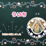 ういち様【Lサイズ2点】専用ページとなります