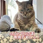 smoke-8taさま専用ページ