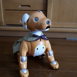 オータムサッカーギンガムセットアップ☆イエローベージュスカート