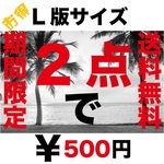 お好きな品番をお伝え下さい　L版サイズ　2点　送料無料