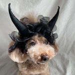 ブラックデビル👿カチューシャ(ツノ長め)
