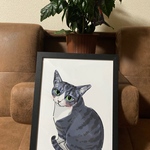 猫の絵