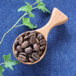 再販-自立する山桜のコーヒーメジャースプーン（珈琲豆10g用）長さ10.0cm