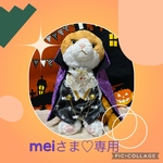 ハロウィンスタイ
