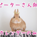 【リピーターさん向け】2025年　たわしちゃん&ダスキンちゃんカレンダー📦送料無料📦
