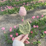 手編みのぷっくりチューリップ🌷【ぴんく】