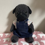 黒パグちゃんのぬいぐるみ