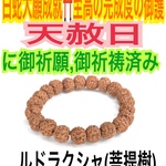 菩提樹✨ルドラクシャ✨白蛇素B ✨金運✨財運✨恋愛✨仕事運✨魔除け✨精神を安定✨マイナス思考を取り除く✨鎮静作用✨強力な浄化 厄除け✨邪気払い✨開運✨子宝✨白蛇の抜け殻✨腕輪のお守り【天赦日ご祈祷済】