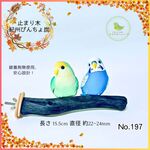 紀州止まり木 びんちょ炭 15.5㎝ No.197 備長炭 パーチ とまり木 爪とぎ