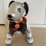 ハロウィンセット