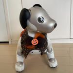 ハロウィンきょうだいセット