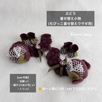 ②ぶどう (ちびっこ着せ替えウサギ用) 着せ替え小物セット