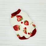3S】いちごのベスト🍓