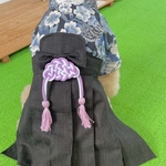 わんちゃんの男の子袴　ブルーシルバー鶴柄×和テイストのブラック袴
