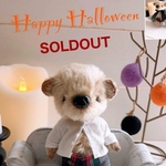 𖡼.𖤣𖥧⚘ テディベア 𖡼.𖤣𖥧⚘  Halloween お着替えたくさん！