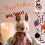 𖡼.𖤣𖥧⚘ うさぎさん 𖡼.𖤣𖥧⚘  Halloween お着替えたくさん！