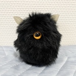 黒い野生の大きなほこり虫🧹