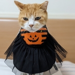 ハロウィンカボチャドレス