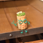☆多肉植物×コルク人形 タルタルくん③☆