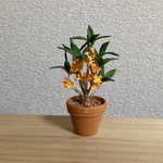 キンモクセイ花鉢　2
