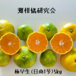 小玉2S以下　箱込5kg弱　 家庭用傷あり　山口岩国みかん(極早生)　　　 