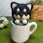 カップin黒柴