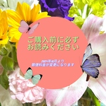 ご購入前に必ずお読みください