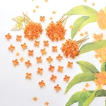 リニューアル★オリジナル7mmミニお花のガラスビーズ  キンモクセイ　オレンジ