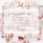 〖 complete set 〗コラージュシート5種