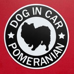 犬（ポメラニアン_BK）マグネット ステッカー　防水　車用