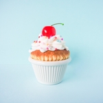 CLASSIC-cupcakes-Magnolia / カップケーキ の小物入れ 