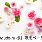 【ragudo-ru様】専用ページ