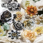 【セット売り】等待花開 箔押し