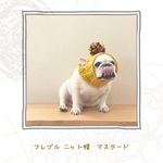 フレブルニット帽　マスタード　