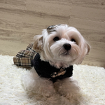 犬服　ベージュのタータンチェックのスカートワンピ🤎