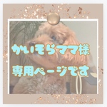【かいそらママ様　専用のページです】