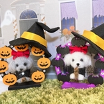♡kogonta様専用ページ♡