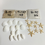 レジン 封入セット 貝殻セット シェル