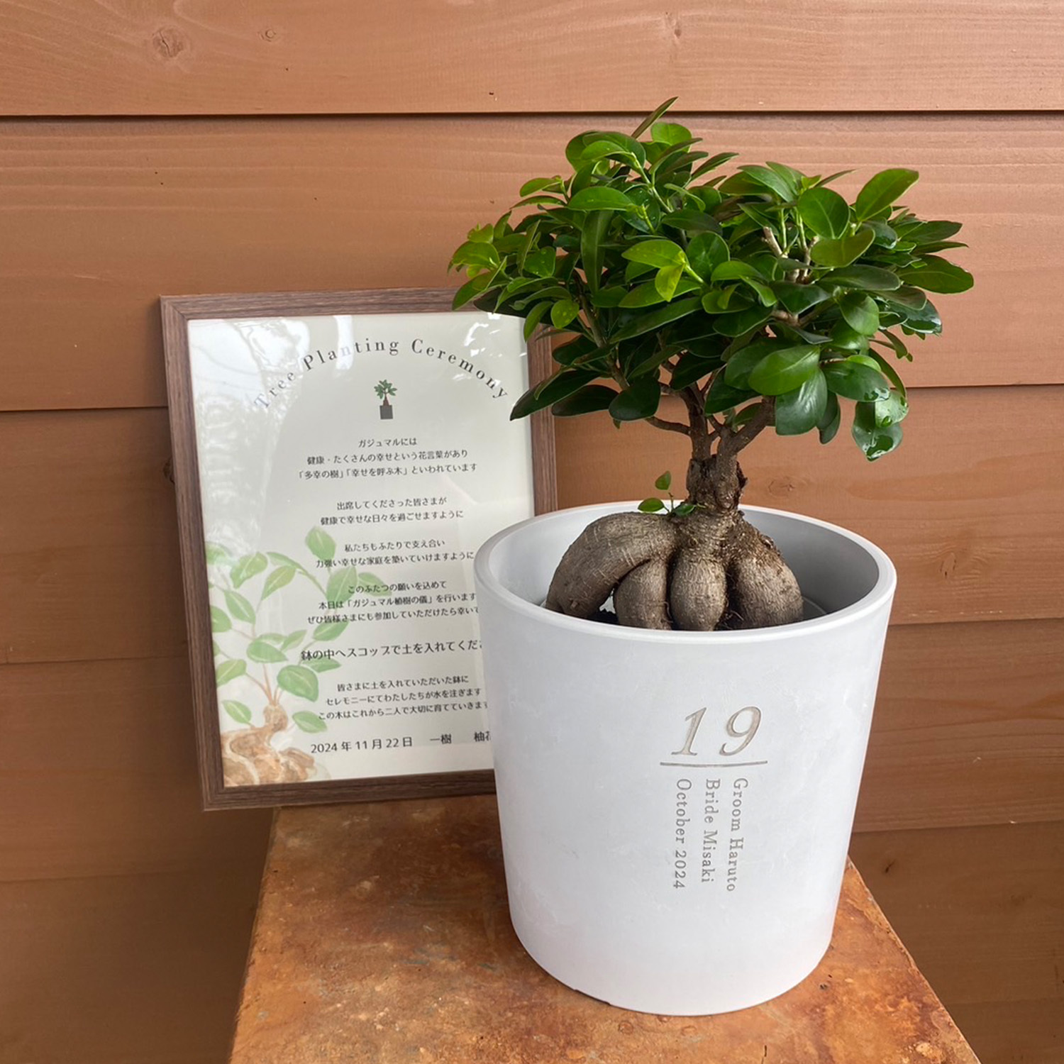 ローラアシュレイプランター　グレー黒　鉢　アンティーク鉢　植木鉢　鉢植え　廃盤品 ローラアシュレイプランターグレー黒鉢アンティーク鉢植木鉢