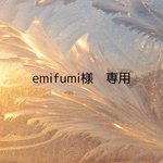 emi fumi様♡ 専用ページ