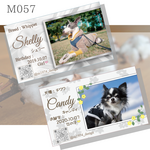 ♦︎♢M057　ペット名刺　うちの子カード インスタ名刺　写真入り名刺　91mmx55mm 　片面100枚　高品質　ペット写真　犬　猫　鳥　　ＱＲコード無料　セミオーダー