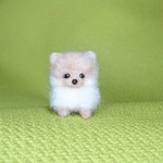 ご依頼品    羊毛フェルト 