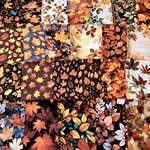 Autumn🍂落ち葉のジャーナルペーパーセット＊紙モノ＊コラージュ素材＊コラージュペーパー
